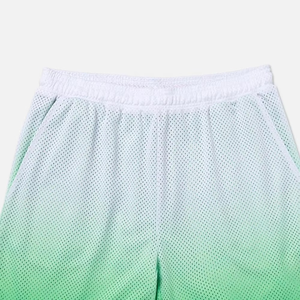 Shorts de basketball en mesh pour hommes, respirants, légers, pour l'entraînement sportif, la gym, la course, taille élastique, été, directement du fabricant - Product Image 5