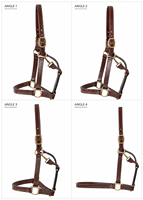 Harnais en cuir de qualité supérieure, élégant et raffiné pour chevaux, de Divine International