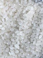 Riz Jasmin à Grains Longs Blancs avec Logo du Acheteur, Qualité UE OEM, Vente en Gros, Riz Japonica Oishi pour Sushi, 10kg 20kg 25kg 50kg LINDA