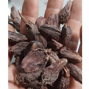 Cardamome noire naturelle de haute qualité, non transformée, sèche, pour assaisonnements et préparations alimentaires, directement de l'usine - Product Image 3