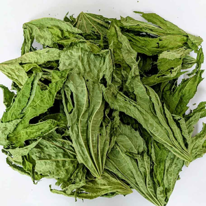 ผู้จัดจำหน่ายใบละหุ่งแห้งจากเวียดนาม ใบละหุ่งแห้งสำหรับเส้นผม ใบละหุ่งเขียวแห้ง ใบละหุ่งสีม่วง (Ricinus Communis) ANGLE - Product Image 5