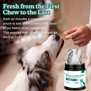 Friandises à mâcher pour chiens contre les allergies et les démangeaisons, enrichies en colostrum, oméga-3, probiotiques, curcuma, saveur poulet, pour toutes les générations, friandises molles - Product Image 5