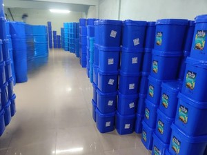 Nueces de Anacardo W320 Anacardium Occidentale, Granos Enteros, Color Blanco Marfil, Crujientes, Dulces, Listas para Usar, Vida Útil de 24 Meses, CRADLE of LIFE - Product Image 3