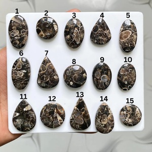 Turritella, Gema Cabujón Suelta, Directo de Fábrica India, Venta al por Mayor por Kilo, Lote de Piedras - Product Image 3