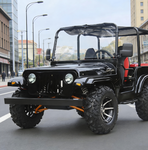 UTV Eléctrico 4x4 de 1000cc en Venta - Product Image 3