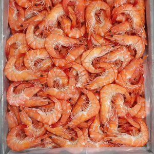 Camarones Vannamei Enteros Cocidos de Grado Premium para Exportación de Vietnam, Congelados IQF C.HOSO - Product Image 1