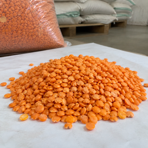 Lentejas Orgánicas Secas Estilo Pure Harvest, Cultivadas con Agricultura Natural y Suministro Confiable para Compradores de Alimentos Orgánicos - Product Image 1