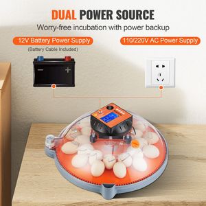 Incubatrice di Alta Qualità con Capacità di 24 Uova, Controllo Automatico di Temperatura e Umidità, con Vassoio Rotante per Allevamento Avicolo - Product Image 6