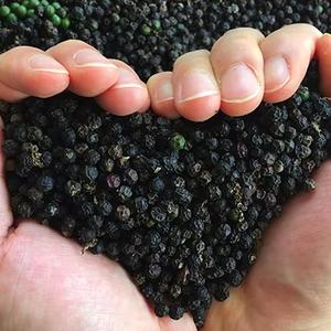 Prix d'usine Meilleure qualité Certifié ISO Poivre noir 100% naturel 550GL Séché Brut Épices simples en poudre - Product Image 1