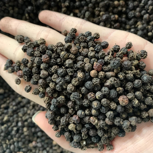 พริกไทยดำบดละเอียดคุณภาพพรีเมียม 550 กรัม ราคาดีเยี่ยม เหมาะสำหรับปรุงรสเนื้อสเต็ก - Product Image 1