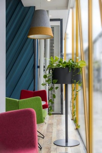 Soportes de Metal Modernos y Minimalistas para Plantas de Interior con Diseño Circular, Acabado con Recubrimiento de Polvo Blanco - Product Image 5