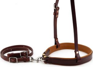 Oferta Premium: Equipos Ecuestres Deportivos, Cabestros para Montar a Caballo, Pedidos al por Mayor, Cabestros de Cuero Reforzado y Cosido con MOQ Bajo - Product Image 5