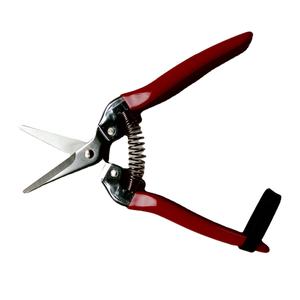 <b>JACK</b> WORTH Stainless Steel Long-Nose Fruit <b>Scissor</b> with Metal Handle for Garden Use - Product Image 6