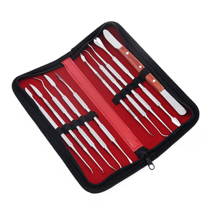 Ensemble de 12 outils de sculpture sur cire en acier inoxydable, kit d'équipement de laboratoire dentaire, instruments manuels professionnels pour dentistes - Product Image 5