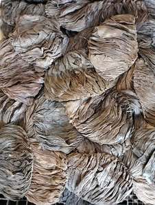 Best Grade Fresh Dry Salted <b>Beef</b> Omasum Halal <b>Beef</b> Salted <b>Beef</b> Omasum Buffalo Omasum Cow Cleaned Stomach Supplier - Product Image 6