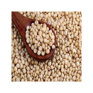 ข้าวฟ่างขาวหวานออร์แกนิกคุณภาพพรีเมียมเพาะปลูกด้วยวิธีธรรมชาติ สำหรับขาย อาหารเพื่อสุขภาพ ธัญพืชดิบขายส่ง - Product Image 2