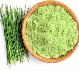 Poudre d'herbe de blé de haute qualité 100 % pure et naturelle, superaliment vert riche en vitamines, minéraux et antioxydants, vente en gros - Product Image 4
