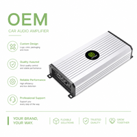 Amplificateur de voiture monobloc haute puissance de classe D OEM pour une qualité sonore supérieure ATI-800.1