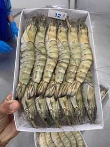กุ้งแดงอาร์เจนตินา ขายส่ง กุ้งแช่แข็ง IQF บรรจุภัณฑ์สุญญากาศ ราคาถูก ผู้ส่งออกขายส่ง 10 กก./กล่อง - Product Image 4