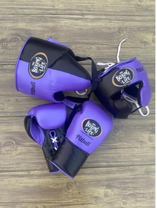 Custom Made Professional No Boxing No Life Purple and Blue Sparring Set Including Boxing <b>Gloves</b> - Headgear - Groin Guard - Product Image 1