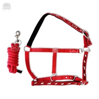 Sangle pp légère Horse Halters polaire rembourrée avec des raccords haut de gamme dans toutes les couleurs courses de chevaux en gros