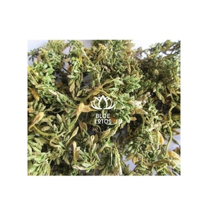 สินค้าขายดี สำหรับการทำเครื่องดื่มรสขมสูตรเฉพาะ และการเตรียมอาหารผัดสไตล์เอเชียแบบดั้งเดิม ดอกมะละกอแห้ง จำหน่ายจำนวนมาก - Product Image 1