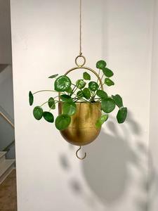 Pot suspendu élégant en or avec poignée ronde, pot décoratif pour plantes d'intérieur et d'extérieur, jardin, balcon, au meilleur prix - Product Image 5