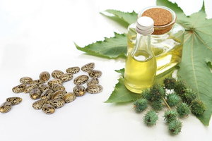 Huile de ricin pure naturelle en gros, huile de ricin en vrac, huile de ricin Viet Delta - Product Image 4