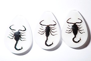 Cabochon Black Scorpion Pear Shape cut <b>top</b> 25x17 mm White Flat Bottom for Crafts and Jewelry Making - Product Image 2
