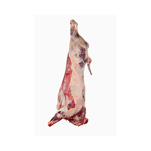 Premium Quality Beef Carcass Wholesale Supply At Factory Price For Sale - Product Image 1
