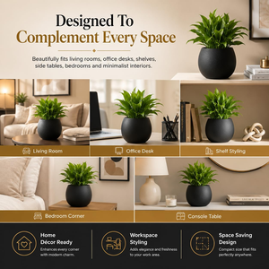 Premium Black Metal Planter <b>Pot</b> with Modern Round Design <b>Decorative</b> Flower Container for Indoor Outdoor <b>Plants</b> Home Living Room - Product Image 6