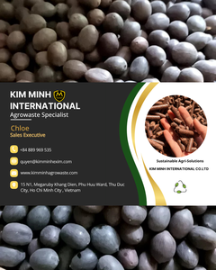 เมล็ดบัวดำแห้ง KMI จากเวียดนาม สำหรับทำขนม ซุป และแปรรูปอาหาร ปริมาณมาก ราคาแข่งขัน - Product Image 6