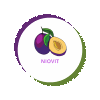 GT CALANCEA ION NICOLAE logo