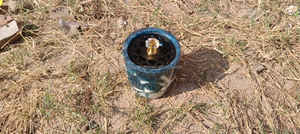 Brûleur d'encens en résine artisanal élégant, style arabe, pour le Ramadan, l'Aïd, cadeaux haut de gamme - Product Image 3