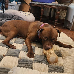 Jouet à mâcher écologique en racine de café pour petits chiens : nettoyage dentaire sûr et divertissement durable - Product Image 4