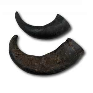 Friandise à mâcher pour chiens et chats en corne de buffle 100% naturelle d'Inde, longue durée, sans céréales, séchée, crue, pour le nettoyage des dents - Product Image 2