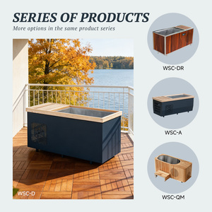 Bain de glace pour thérapie par le froid 3C 316SS Smart WiFi ETL Chiller, en cèdre rouge canadien, pour sauna, livraison DDP Canada - Product Image 3