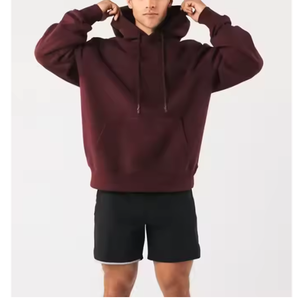 Sweat-shirts pour hommes personnalisés de haute qualité, chauds pour l'automne, en polyester et coton, vêtements de sport tendance en différentes couleurs - Product Image 2