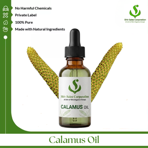 Premium Calamus Oil for Manufacturing Available in Bulk Packaging for Cosmetics Personal Care Fragrance Perfume Aromatherapy - Product Image 1