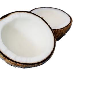 Copos de coco desecados de grado hecho de la carne de coco producida por Modern Technology 2024 - Product Image 2