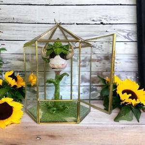 Decorative Glass Terrarium Tabletop Garden Display Perfect For <b>Study</b> Table Setup And Creative Work <b>Desk</b> Styling From India - Product Image 1