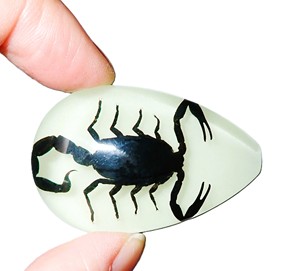 Black Scorpion Real Specimen Plastic Cabochon Pear Cut <b>Top</b> 46x30 mm Glow Flat Bottom for Crafts and Jewelry Making - Product Image 3