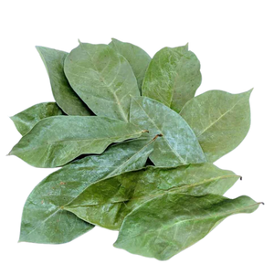 Dried Soursop Graviola Leaves Black <b>Tea</b> Organic Vietnam 25 <b>Tea</b> Bags/<b>Box</b> Vacuum Packaging Non Sugar Grade a Health <b>Tea</b> - Product Image 6