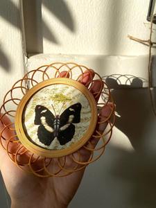 Juego de Posavasos de Ratán con Diseño de Mariposa y Soporte para Decoración de Fiestas, Agrega un Toque Único con Diseño de Mariposa a las Decoraciones de Fiesta, de la India - Product Image 5