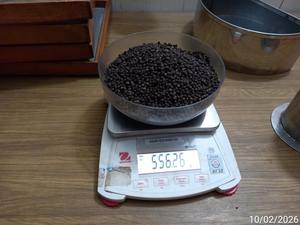 Pimienta Negra de Vietnam, Nueva Cosecha 2026, Cruda, Seca, Calidad Premium, Mejor Precio, Lista para Entrega - Product Image 3