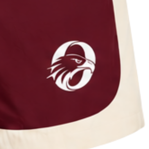 <b>Burgundy</b> Neutral Panel Sports <b>Shorts</b> Lightweight Quick Dry Elastic Waist Running Training Gym Athletic Custom Team Performance - Product Image 6