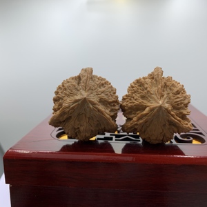 Galaxy Three-Ridge Walnut Raw Feng Shui, Adorno de Mano Coleccionable de Estilo Religioso Angelical, de Forma Ovalada, Cultivado Naturalmente en Concha - Product Image 1