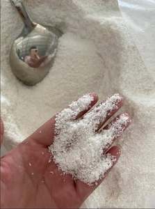 Premium Desiccated <b>Coconut</b> Powder Bulk Supply Natural White <b>Coconut</b> Powder for Food Processing and Export - Ms. Tarina - Product Image 6