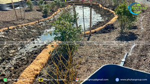 Strong Fiber COIR <b>LOG</b> For Soil Retention And Slope Stabilization In Landscaping And Infrastructure Projects - Product Image 5
