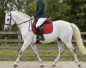 Vente en gros de tapis de selle western en polycoton personnalisés avec logo et design, protection pour chevaux, durable, coupe ajustée, en vrac - Product Image 6